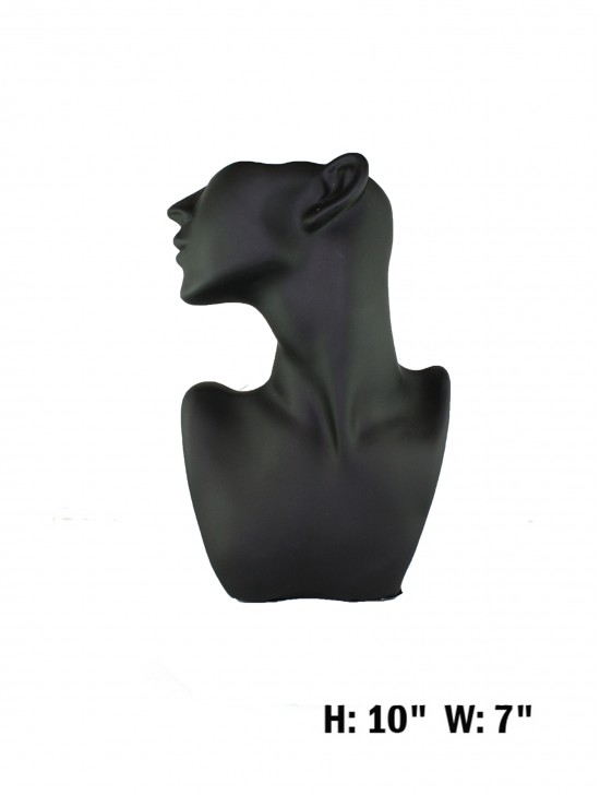 DISPLAY HEAD